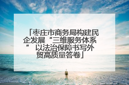 枣庄市商务局构建民企发展“三维服务体系” 以法治保障书写外贸高质量答卷
