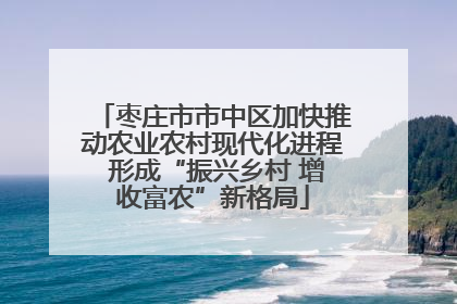 枣庄市市中区加快推动农业农村现代化进程 形成“振兴乡村 增收富农”新格局