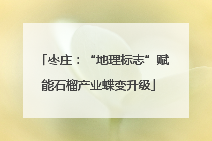 枣庄：“地理标志”赋能石榴产业蝶变升级