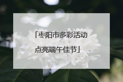枣阳市多彩活动点亮端午佳节