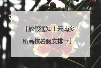 放假通知！云南多所高校暑假安排→
