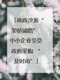 政商沙龙“架桥铺路” 中小企业享受政府采购 “及时雨”