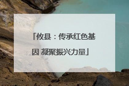 攸县：传承红色基因 凝聚振兴力量