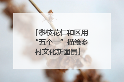 攀枝花仁和区用“五个一”描绘乡村文化新图景