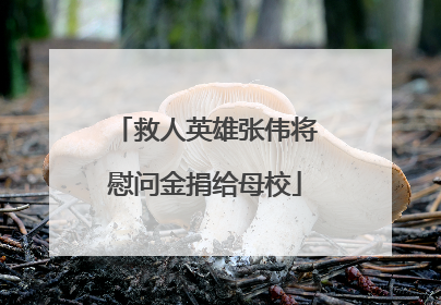 救人英雄张伟将慰问金捐给母校