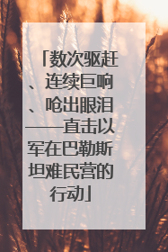 数次驱赶、连续巨响、呛出眼泪——直击以军在巴勒斯坦难民营的行动