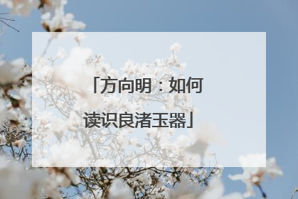 方向明：如何读识良渚玉器