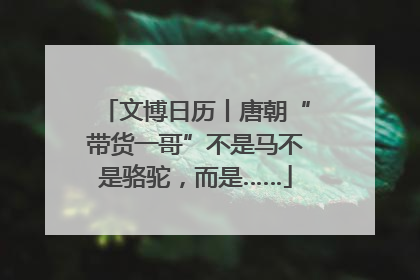 文博日历丨唐朝“带货一哥”不是马不是骆驼，而是……