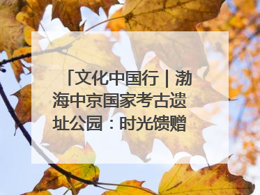 文化中国行｜渤海中京国家考古遗址公园：时光馈赠的宝藏 历史凝固的诗篇