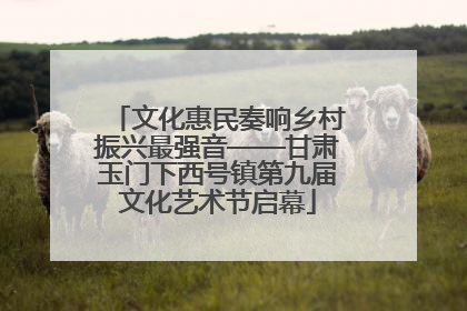 文化惠民奏响乡村振兴最强音——甘肃玉门下西号镇第九届文化艺术节启幕