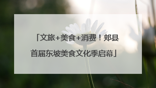 文旅+美食+消费！郏县首届东坡美食文化季启幕