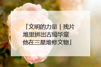 文明的力量｜残片堆里拼出古蜀华章 他在三星堆修文物