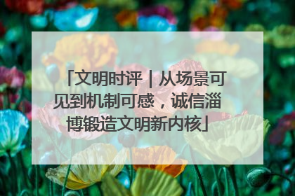 文明时评｜从场景可见到机制可感，诚信淄博锻造文明新内核