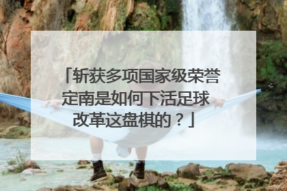 斩获多项国家级荣誉 定南是如何下活足球改革这盘棋的？