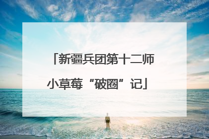 新疆兵团第十二师小草莓“破圈”记