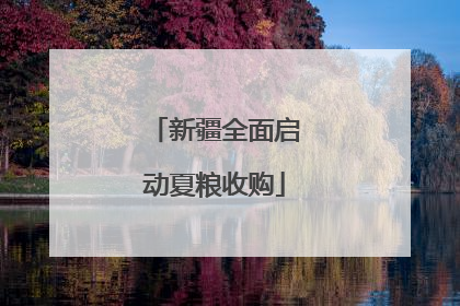 新疆全面启动夏粮收购