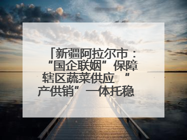 新疆阿拉尔市：“国企联姻”保障辖区蔬菜供应 “产供销”一体托稳市民菜篮子