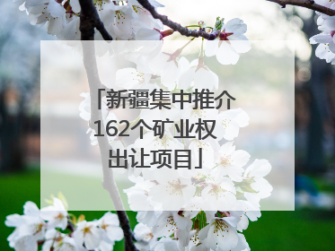 新疆集中推介162个矿业权出让项目