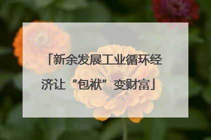 新余发展工业循环经济让“包袱”变财富