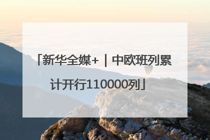 新华全媒+｜中欧班列累计开行110000列