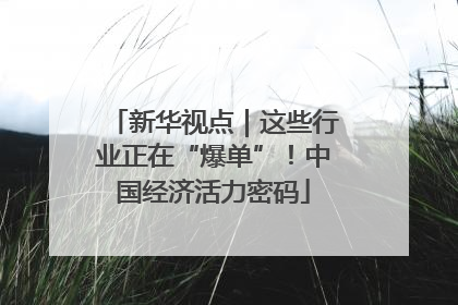 新华视点｜这些行业正在“爆单”！中国经济活力密码