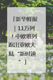 新华鲜报｜11万列！中欧班列跑出亚欧大陆“新时速”