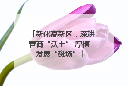 新化高新区：深耕营商“沃土” 厚植发展“磁场”