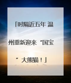 时隔近五年 温州重新迎来“国宝”大熊猫！