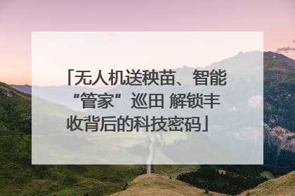 无人机送秧苗、智能“管家”巡田 解锁丰收背后的科技密码