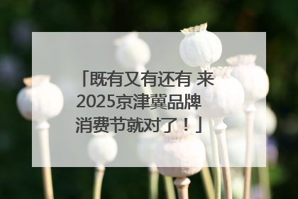 既有又有还有 来2025京津冀品牌消费节就对了！