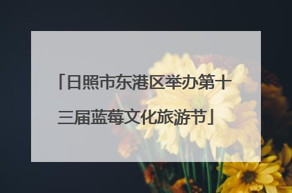 日照市东港区举办第十三届蓝莓文化旅游节
