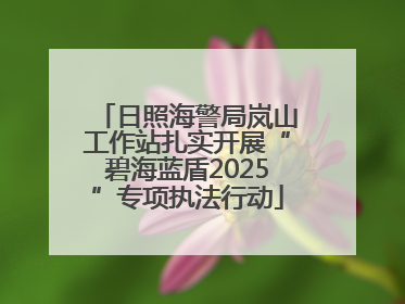 日照海警局岚山工作站扎实开展“碧海蓝盾2025”专项执法行动