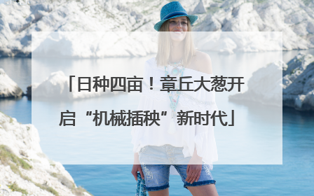 日种四亩！章丘大葱开启“机械插秧”新时代