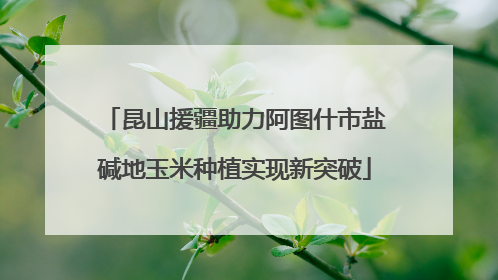 昆山援疆助力阿图什市盐碱地玉米种植实现新突破