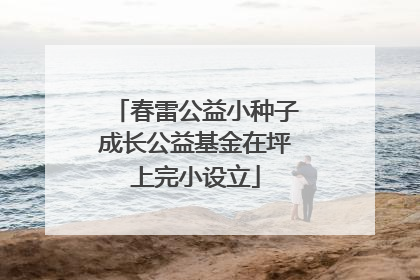 春雷公益小种子成长公益基金在坪上完小设立