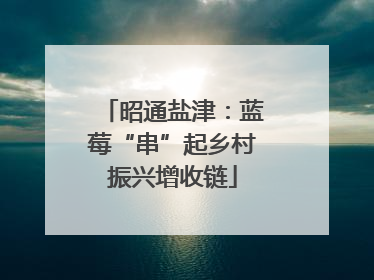 昭通盐津：蓝莓“串”起乡村振兴增收链