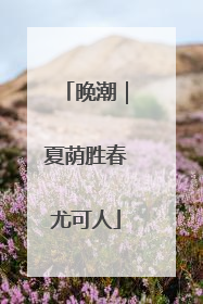 晚潮｜夏荫胜春尤可人