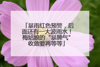 暴雨红色预警，后面还有一大波雨水！梅姑娘的“暴脾气”收敛要再等等