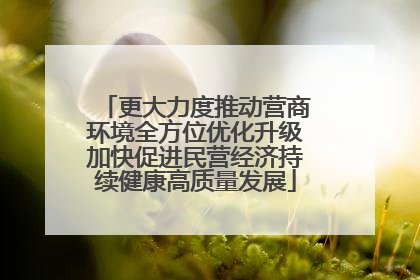 更大力度推动营商环境全方位优化升级加快促进民营经济持续健康高质量发展