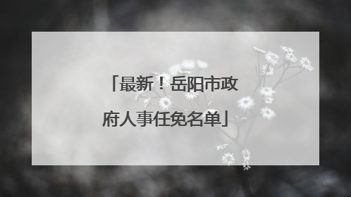 最新！岳阳市政府人事任免名单