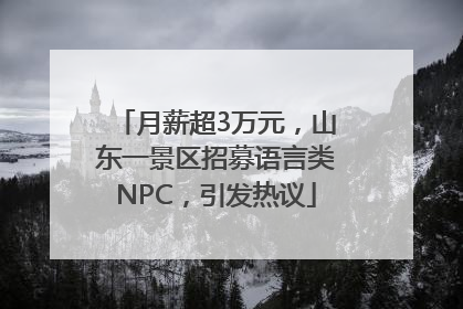 月薪超3万元，山东一景区招募语言类NPC，引发热议