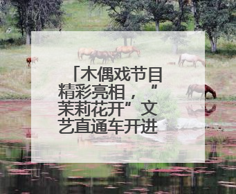 木偶戏节目精彩亮相，“茉莉花开”文艺直通车开进海师附小