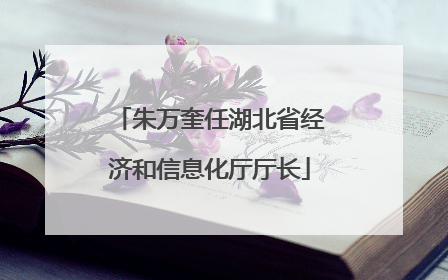 朱万奎任湖北省经济和信息化厅厅长