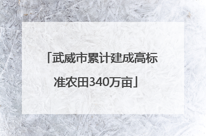 武威市累计建成高标准农田340万亩