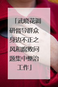 武晓花调研督导群众身边不正之风和腐败问题集中整治工作