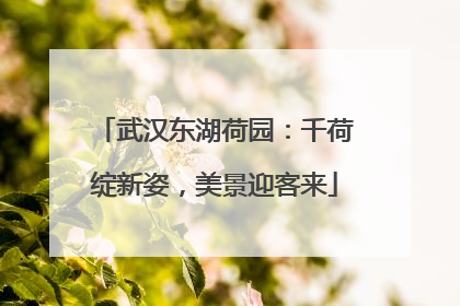 武汉东湖荷园：千荷绽新姿，美景迎客来