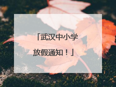 武汉中小学放假通知！