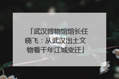 武汉博物馆馆长任晓飞：从武汉出土文物看千年江城变迁