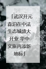 武汉开元森泊在中法生态城盛大开业 华中文旅再添新地标