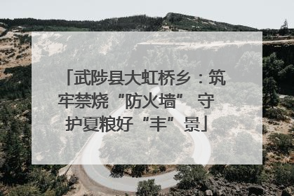 武陟县大虹桥乡：筑牢禁烧“防火墙” 守护夏粮好“丰”景